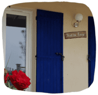 Roses du jardin devant la maison